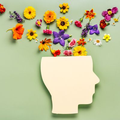 Metabolic Health and Mental Clarity | MetaScore Wellness Check