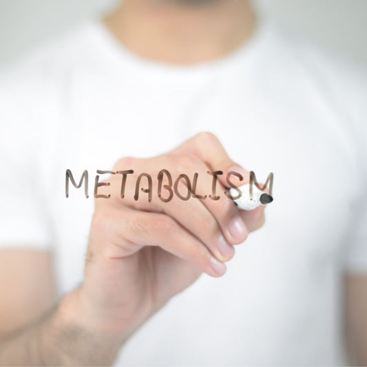 The Science of Metabolic Flexibility | MetaScore Wellness Check